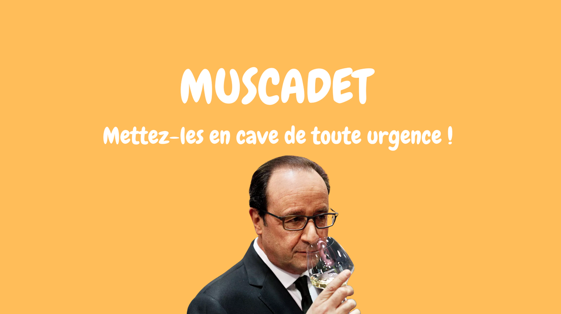 Muscadet : c'est le moment de les mettre en cave !
