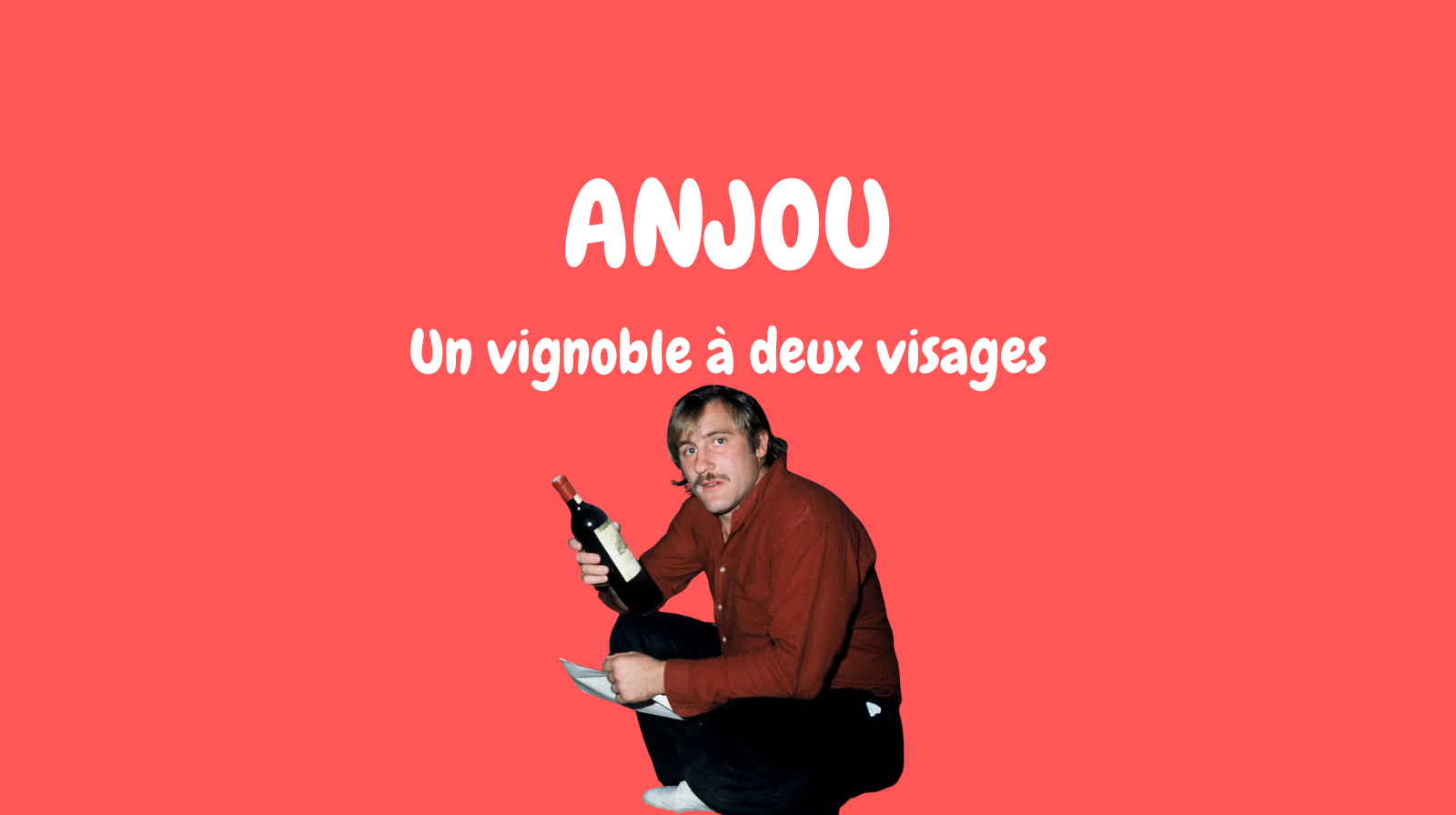 L'Anjou : un vignoble à deux visages