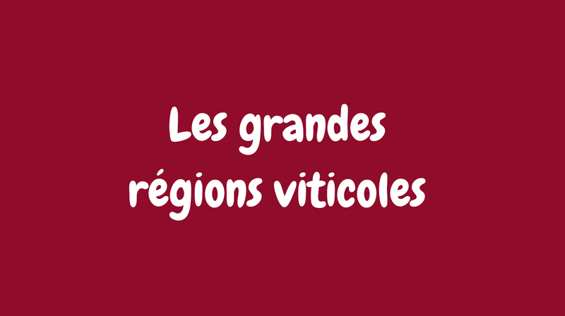 Les grandes régions du vin