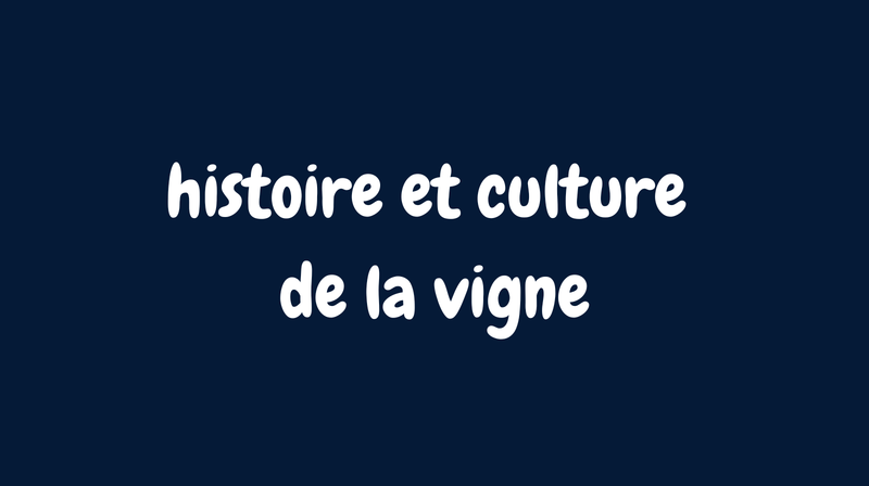 Histoires et culture de la vigne